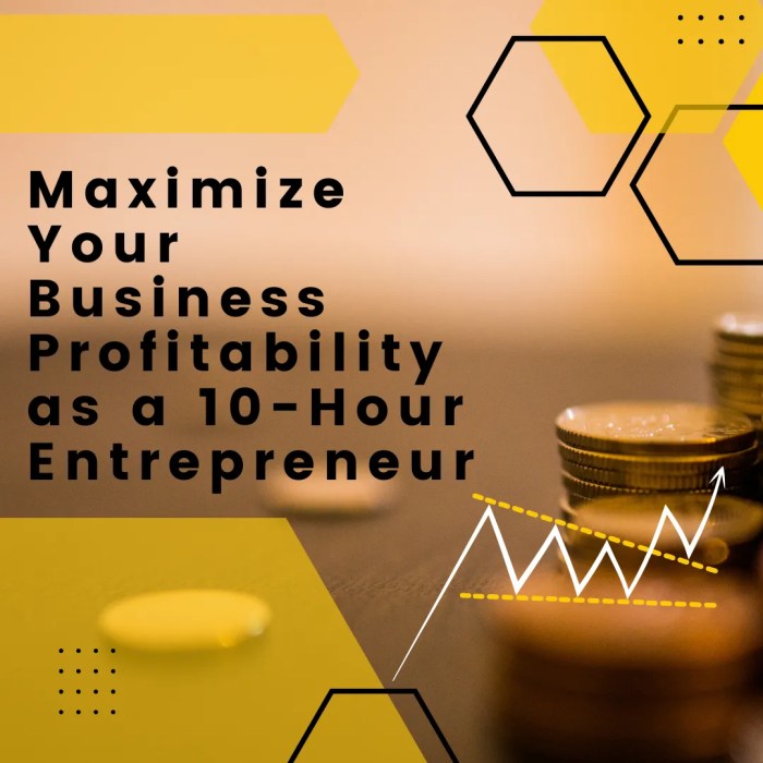 How to maximize profitability in small businesses