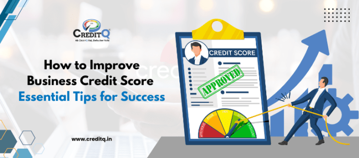 Ways to improve business credit score quickly