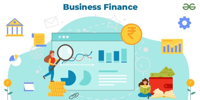 What are the key components of business finance